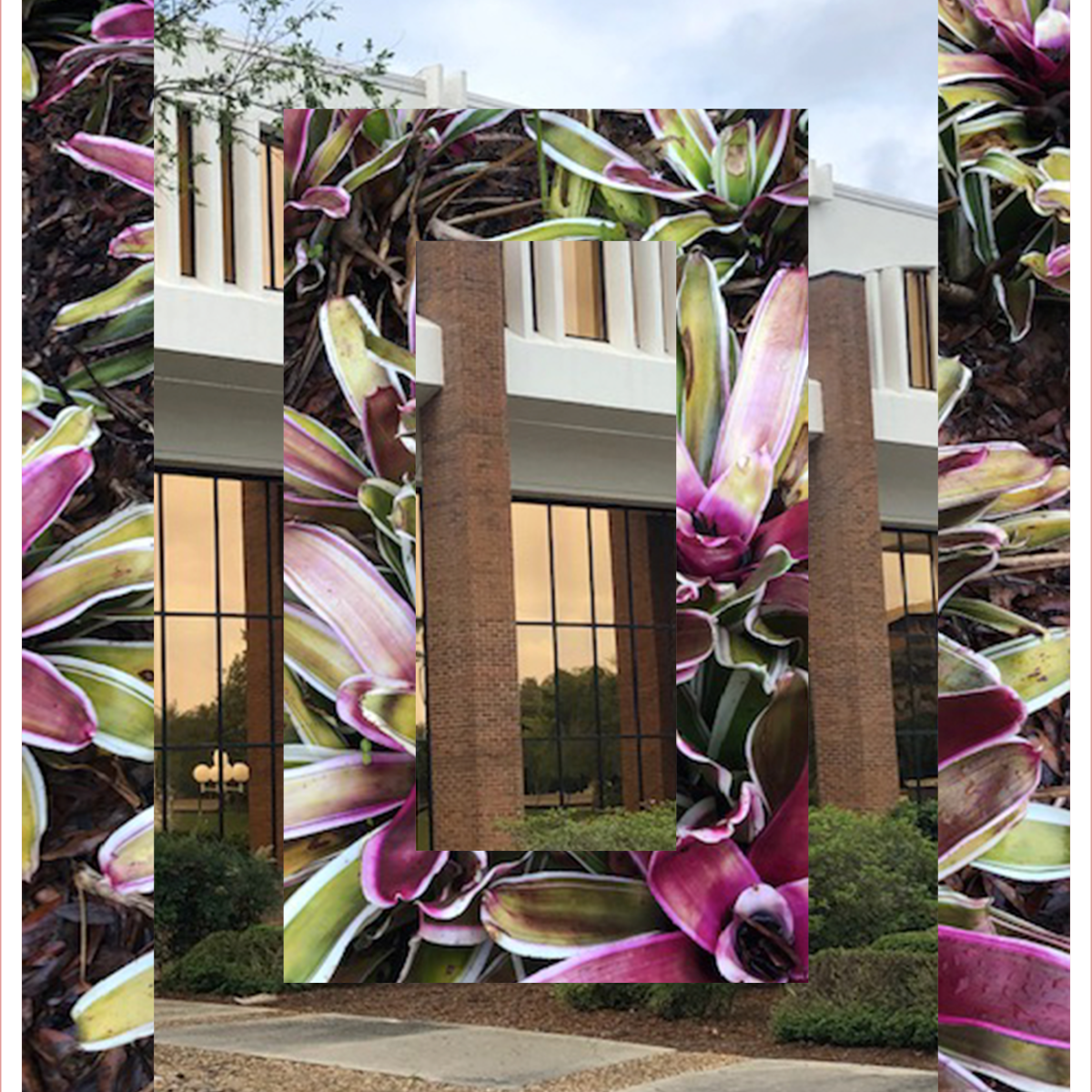 Artwork and Photoshop