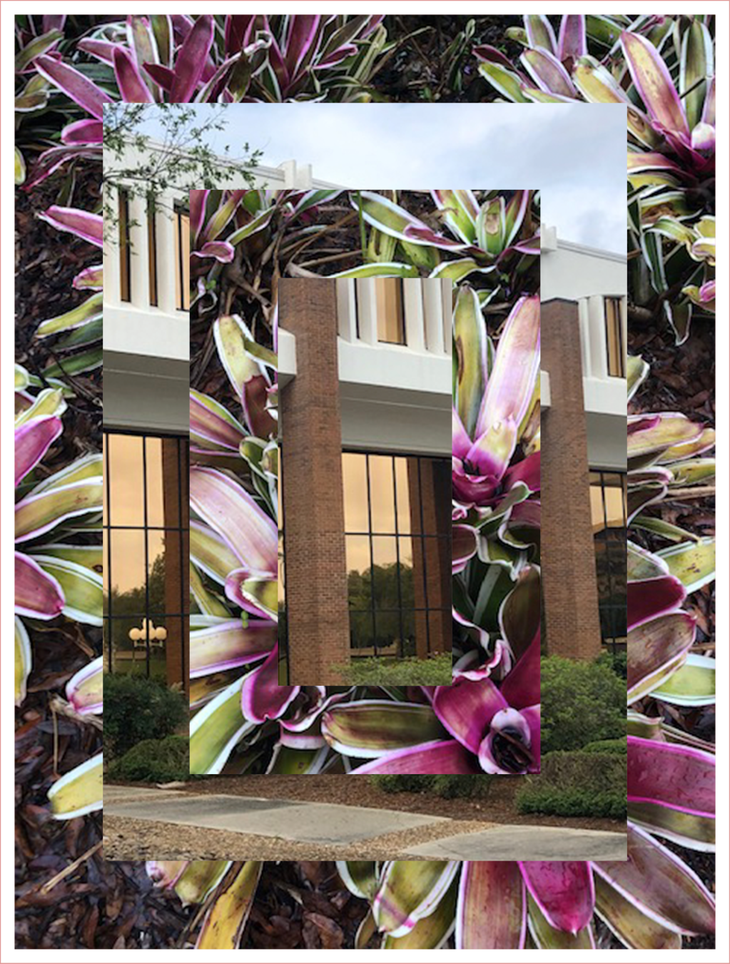 Artwork and Photoshop